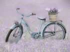 Bicycle in Lavender Art Print