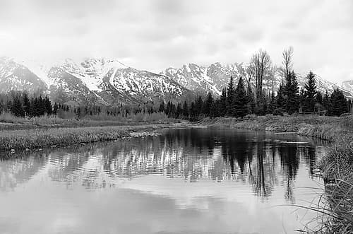 Tetons at Schwabachers Landing Landscape Print