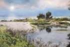 Lake Coast Art Print