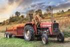 Pumpkin Harvest Art Print