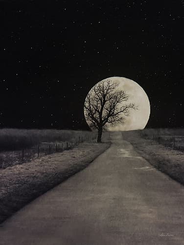 Moonlit Country Road Photography Print