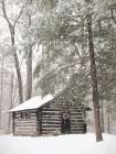 Cabin Fever Art Print