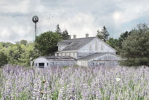 Rustic Country Life Art Print