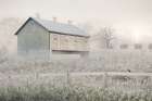 Dewy Country Morning Art Print