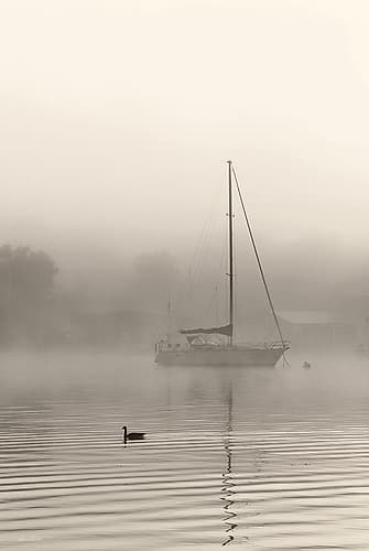 Foggy Bay Coastal Print
