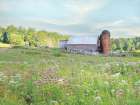 Summer on the Farm Art Print