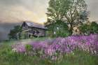 Country Living Art Print