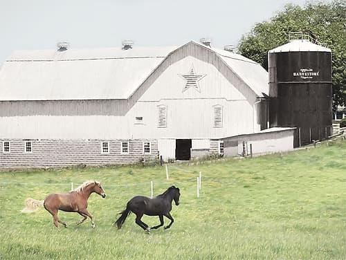 Afternoon Run on the Farm Art Print
