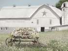 Valley Greenhouse Art Print