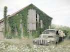 Overgrown Art Print