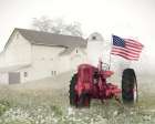 Old Glory at the Barn Art Print