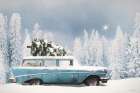 Christmas Blues Art Print