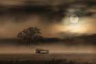 The Spooky Old Oak Tree Art Print
