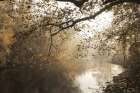 Morning Rays at Swatara Creek Art Print