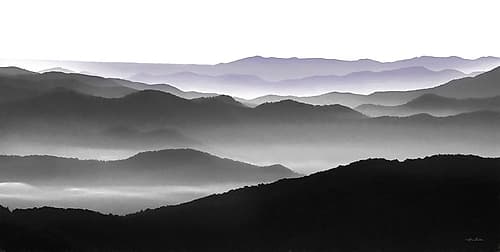 Elegant Layers II Art Print