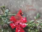 Seasons Greetings Cardinal Art Print