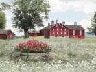 Old Milton Farm Art Print