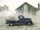 Dodge Full of Flowers Art Print