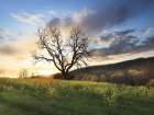Clark Valley Sunset Art Print