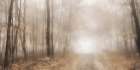 Dreamy Forest Art Print