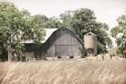 Country Hayfield Art Print