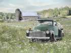Summer Days on the Farm Art Print