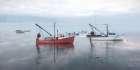 Maine Lobster Boats Art Print