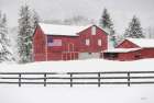 Winter Barn Art Print