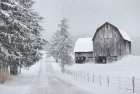 Winter Peace in the Country Art Print