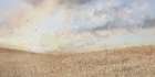 Amber Waves of Grain at Sunrise Art Print