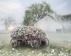 Weathered Wagon in Bloom Art Print