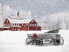Snowy Weathered Wagon Landscape Print
