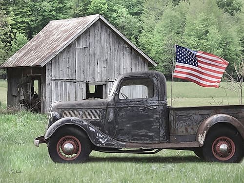 American Pride Art Print