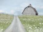 Over the Hill Art Print