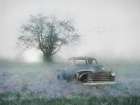Hazy Country Morning Art Print