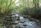 Little Pigeon River Art Print