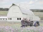 Flower Field Farm Art Print
