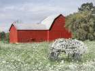 Summer Farm Field Art Print