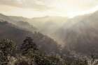 Misty Sun Rays Art Print