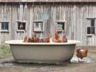 Country Bathtub Art Print
