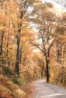 Autumn in the Valley II Art Print
