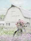 Spring at the Farm Art Print
