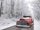 Snowy Day Art Print