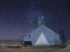 Starry Country Night Art Print