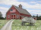 Summer Day in July Art Print