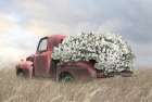 Old Red Full of Flowers Art Print