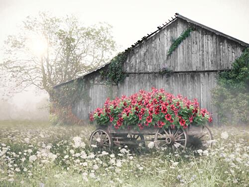 Old Country Barn Art Print