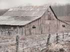 Weathered Gracefully Art Print