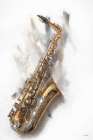 Saxy Horn I Art Print