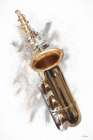 Saxy Horn II Art Deco Print